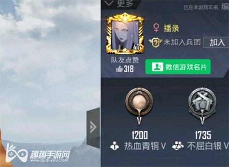 和平精英辅助【蜜雪冰城直装V3.0】人机识别  子弹追踪 开火自瞄 人物透视
